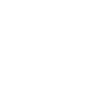 logo-wt