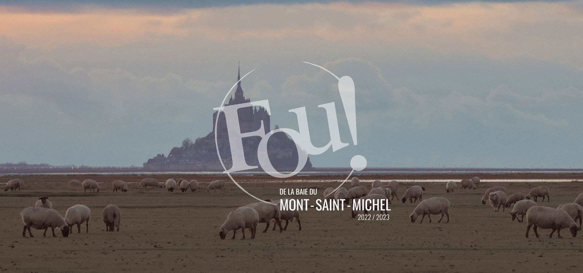 fou-de-la-baie-du-mont-saint-michel-pres-sales